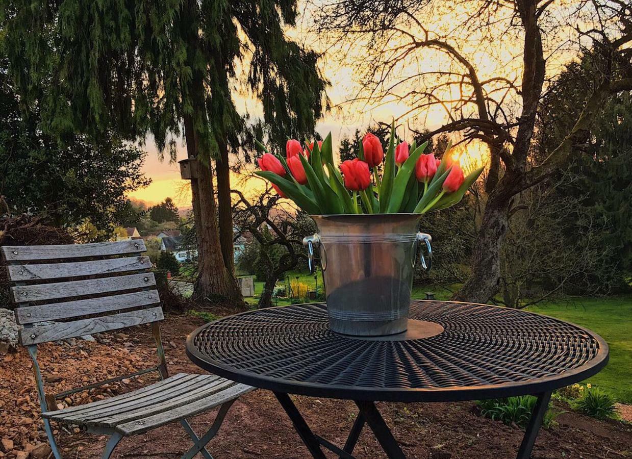 Haagalm Terrasse, Garten Nonnweiler Eksteriør billede