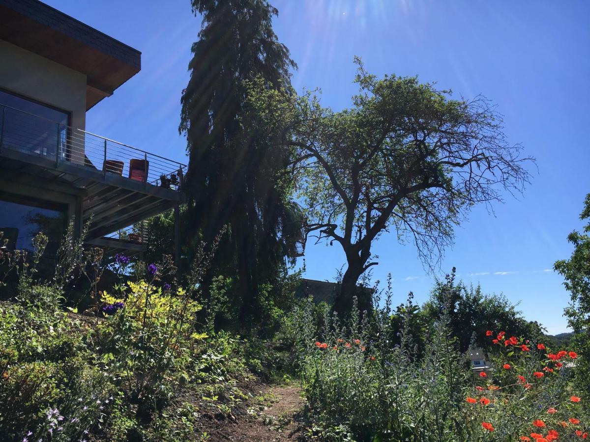 Haagalm Terrasse, Garten Nonnweiler Eksteriør billede