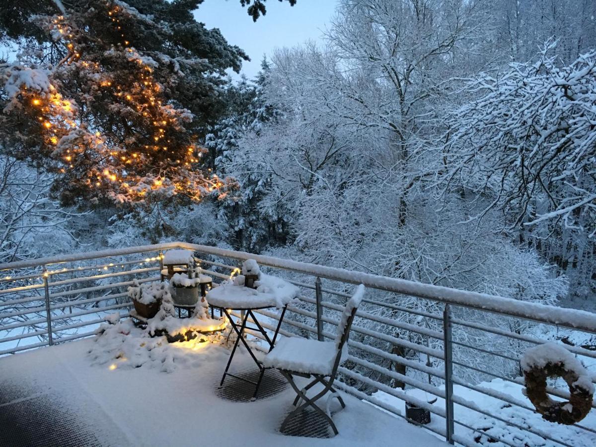 Haagalm Terrasse, Garten Nonnweiler Værelse billede
